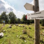 Parco Nazionale del Pollino
