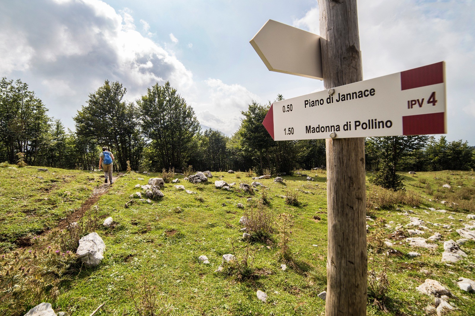 Escursioni nel Pollino